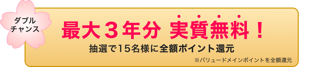 最大3年分 実質無料