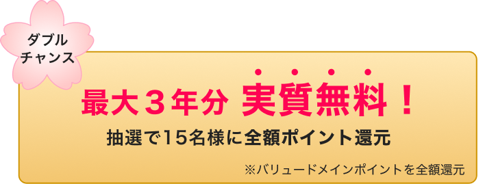 最大3年分 実質無料